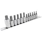 Wilmar W1335 - 12-Piece Star Bit Socket Set ChrV