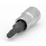 Wilmar W36820 - Chrome Torx Bit Socket, 1/4
